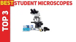 Best Student Microscopes 2021 - Top 3 Best Student Microscopes