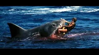 Ultimate Fail Video Epic Fails Car Crash Stupid People Compilation 2017