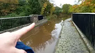 Autumn Almond Aqueduct