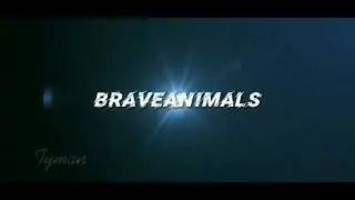 Tyman/session/braveANIMALS