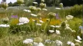 Mahler: Symphony no. 3, II Tempo di Menuetto, Sehr M&auml;ssig (arr. Britten)