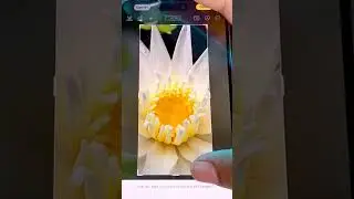 iOS 17 new Crop for Wallpaper!