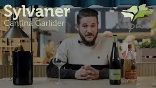 Sylvaner  - Cantina Garlider