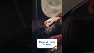 Head & Tails Dog Shampoo: The Ultimate Spa Day for Your Pup! Confiance.pk