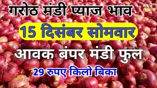 Garoth Shamgarh Mandi Bhav Today | गरोठ मंडी प्याज भाव today । Mandsour मंडी प्याज भाव । शामगढ़ मंडी