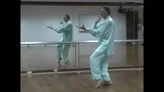 Yang Style Beijing 24 Forms