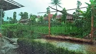 Deep Thunder and Rain Sounds 🌾 Rural Ambience for Focus, Sleep, and Meditation