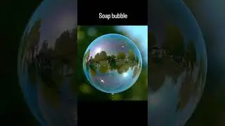 Soap Bubble Rainbow Macro 🌈 | Satisfying Science Visual