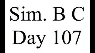 Sim. B C Day 107: Leadership Traits - SICCID