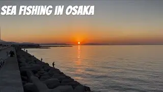 Sunset Casting & Insect Catching: A Weekend in Sennan, Osaka Prefecture
