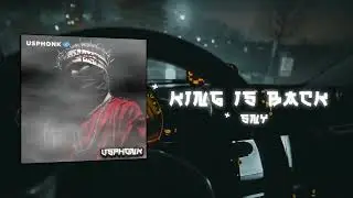 USPHONK Audio Visualizer Template / Phonk Music Visualizer Template - King Is Back - sny