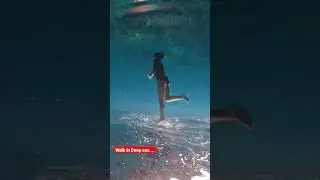 SEA WALK at Havelock Island Andaman 4k!Walk on sea Bed