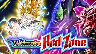 CAN HE STILL COOK?? PHY SS2 GOKU VS ZAMASU & GOKU BLACK REDZONE!! (DBZ:DOKKAN BATTLE)