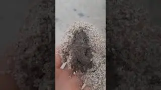 WOW!Rescue a crab with lots of fur stuck on land #shorts