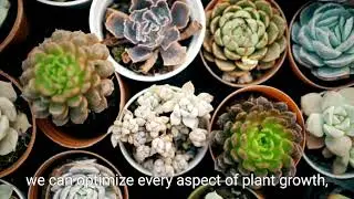 The Power of AI in Plant Development