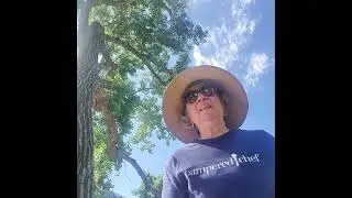 Parker Farmers Market and Conference updates