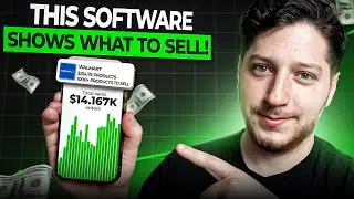 What Software Do You Actually NEED to Sell on Walmart WFS?