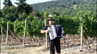 Spievajúca harmonika – mix známych ľudoviek – part 2
