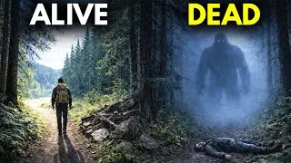 Hunters Noticed the Same Pattern Before Every Bigfoot Encounter