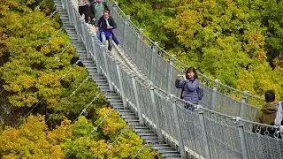 Geierlay Suspension Bridge (Mosel Region, Germany)