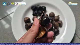 Dari Laboratorium ke Ladang: Kolaborasi TMU-UNNES Ciptakan Harapan Baru Desa Mendala