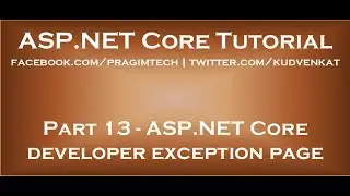 ASP NET Core developer exception page