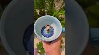 Custom your pet in this handmade mug🥹💖