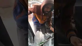 @smkallmodify Music system installation in Maruti Dizar 24 bass to top 🎩