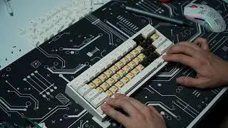 GK61X ON TOFU 60% l Brass Plate l Typing Sound Test l ASMR