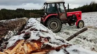 Ursus C- 360 3p wyciąganie i zaladunek dłużycy z drzewem. Czytaj opis!!!!