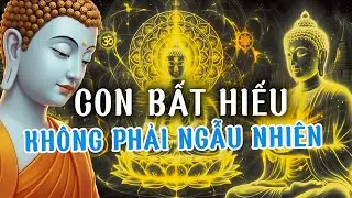 Con Cái Bất Hiếu Là Do Ai? Sự Thật Nhân Quả Khiến Nhiều Cha Mẹ Bừng Tỉnh