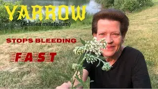 STOP BLEEDING FAST | My Personal Story | Medicinal Plant Series
