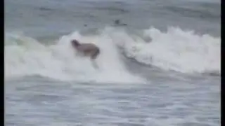 Surf ADL Brasil - Eu e mais outros três