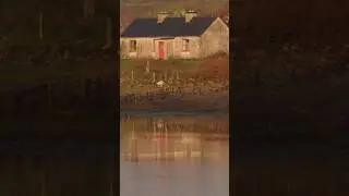 showcasing to you all Connemara the west of Ireland full video on my YouTube channel