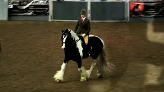 'Traditional Beauty' - a creative insight into the Traditional of the Year Show