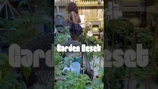 🪴🐝🪏#garden #hobby #tomatoplant #watermelon #cleaning #nyc #softlife