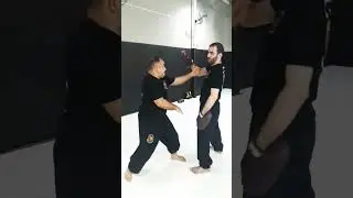 Jun Fan Gung Fu Pak Dar Entries & Combinations/Bruce Lee 's Jeet Kune Do