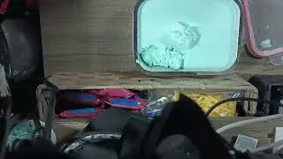 Jello yogurt reveal