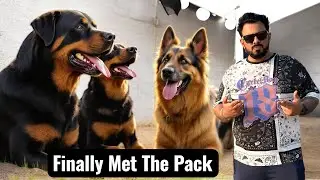 Finally Bahut Dino Baad Milley Bubzee , Lady Ollie Aur Zoey Se Kuch Iss Tarah.