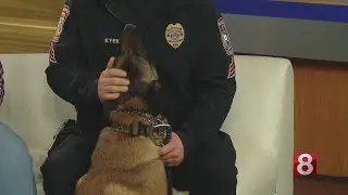 Blue Line Jars support police K-9s