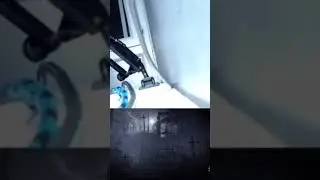 streamer gets scared by cat