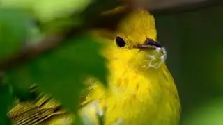 Migration Continues!