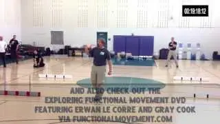 CK-FMS 2013 MovNat Drills with Gray Cook