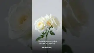 Trường Hoa Hồng Bạch rock version 1