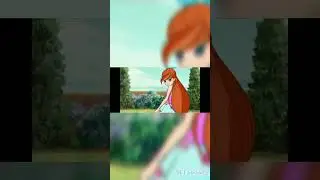 Bloom editix