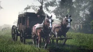 Red Dead Redemption 2 - All Stagecoach Robberies