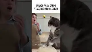 QUANDO FICAM DANDO PITACO NAS MINHAS COISAS