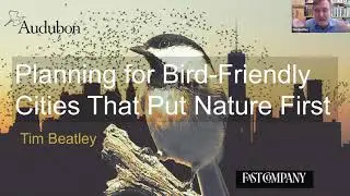 An Inside Look: Planning for Bird-friendly Cities That Put Nature First