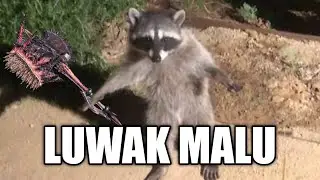 [MHWorld] Menjadi User Hammer Licin