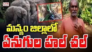 పార్వతీపురం మన్యం జిల్లా సీతంపేటలో ఏనుగుల హల్ చల్ | Elephants In Manyam District | CVR NEWS
